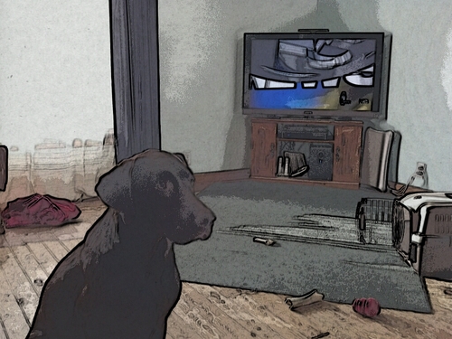 JayRollo's profile picture. 