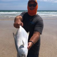 Kelly Musson (@kmusson21) 's Twitter Profile Photo Kelly Musson (@kmusson21) 's Twitter Profile Photo