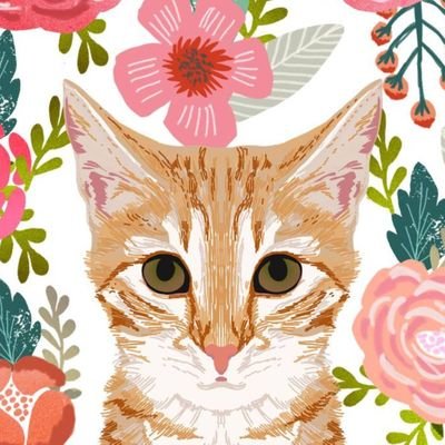 yukeep77's profile picture. 埼玉風俗店で働く風俗嬢💞