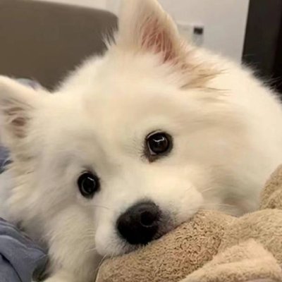 erwin_bhenga's profile picture. The result may not be success,♥️ but no result must be failure