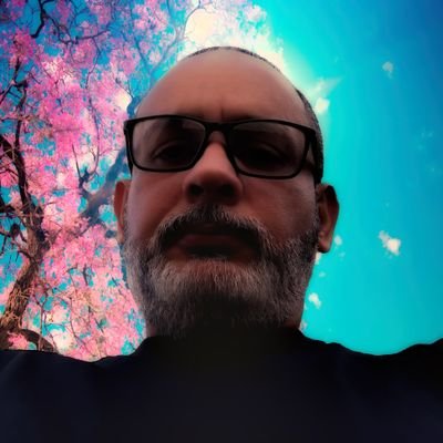 Marioccs's profile picture. 