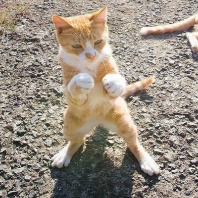 wonndoo's profile picture. 공부 구독계!!