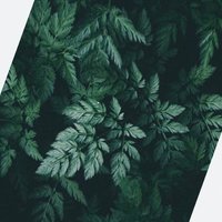 ﴿إِنَّ رَبِّي قَرِيبٌ مُّجِيبٌ﴾ (@athkar4512) 's Twitter Profile