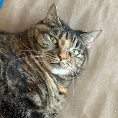 jasoonson's profile picture. 