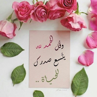 الحمدالله دائما وابدا محبه للخيل واعشق الشعر والخواطر