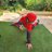 ThangDang.Eth avatar