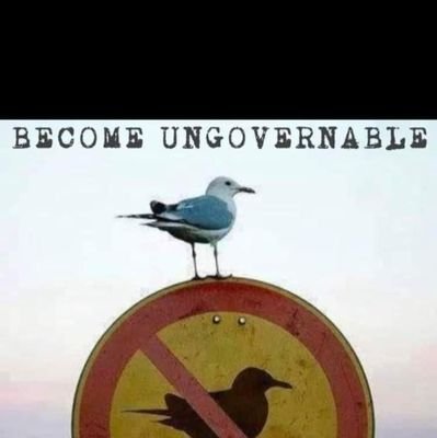 BobBernetic's profile picture. Who do you want me to be?