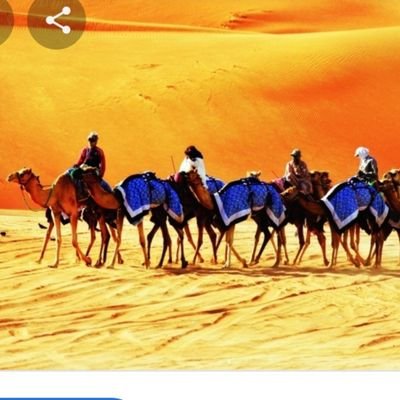 تموت الحياة بسبب غلطة.ماتت وهي على قيدالحياة.☝🏻..؟