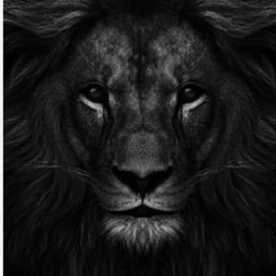 I’d rather be a lonely LION... Than a popular sheep! 🇩🇴 🇯🇲 @ESUMBB