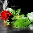 irene stone - @s_istone - Twitter