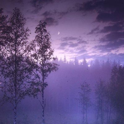 moon_kook_min's profile picture. 