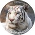 動物豆知識bot (@animame_bot) Twitter profile photo 動物豆知識bot (@animame_bot) Twitter profile photo