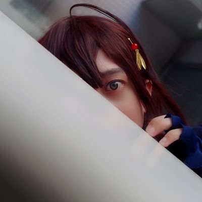 VARIS_SENDAI Profile Picture