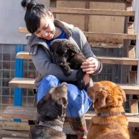 ANIMALS CARE πππ
π (@voicetostrays) 's Twitter Profile