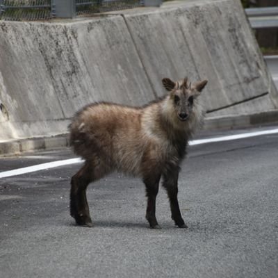 さのすけさんのプロフィール画像