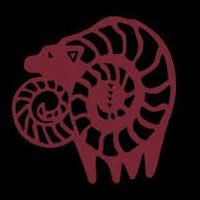 HypnoCB (@hypnocb) 's Twitter Profile