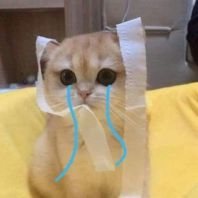 HngPhm69637123's profile picture. 