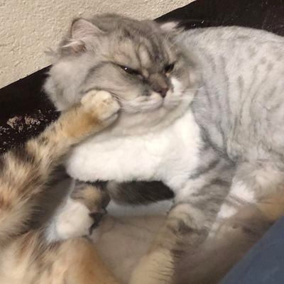 RNilakul's profile picture. ติดเเล้ววววววว