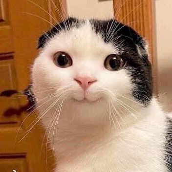 nam64420371's profile picture. Đà lạt