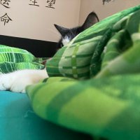 Matthias (@itzmxtze) 's Twitter Profile