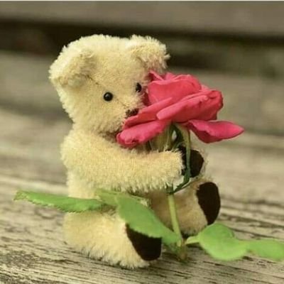 Piu64312609's profile picture. Φασίστες, ρατσιστές, σεξιστές κλπ μακριά από το προφίλ μου