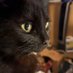 Dolly Purrrton (@dollypurrrton) Twitter profile photo Dolly Purrrton (@dollypurrrton) Twitter profile photo
