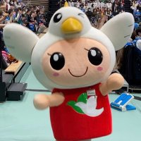 hatoppi (@hatoppi810) 's Twitter Profile Photo