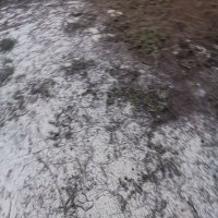 bá loi ❤️ Memecoin (@bloi62) 's Twitter Profile