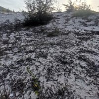 tâm vô ❤️ Memecoin (@tamtmv5) 's Twitter Profile