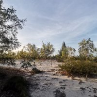 nhung cẩm ❤️ Memecoin (@nhungcm92) 's Twitter Profile