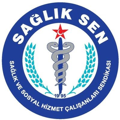 Sağlık-Sen 6 Haziran 1995 yılında kurulmuş olup 2009 yılından bugüne sağlık ve sosyal hizmet kolunda Genel Yetkili Sendika olarak faaliyet göstermektedir.