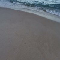 Hồ Bích ❤️ Memecoin (@hbch88) 's Twitter Profile