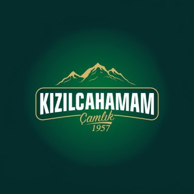 kizilcahamamms's profile picture. 