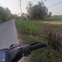 hồ thảo ❤️ Memecoin (@htho61) 's Twitter Profile