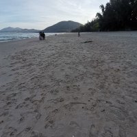 vọng thu ❤️ Memecoin (@vngthu90) 's Twitter Profile