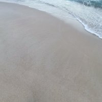 nhi nguyễn ❤️ Memecoin (@nhinguy52) 's Twitter Profile