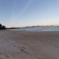 bao nguyen ❤️ Memecoin (@baonguy69040823) 's Twitter Profile