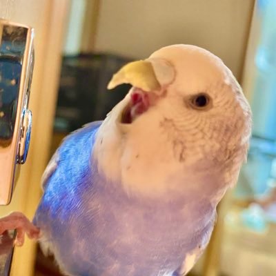 1FPIdN4UVx53385's profile picture. 