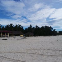 nguyễn hoa ❤️ Memecoin (@nguynho56) 's Twitter Profile