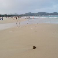 anhtau ng ❤️ Memecoin (@anhtaung) 's Twitter Profile