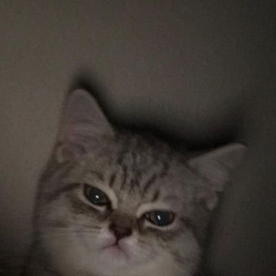 ซดมาม่าเข้าตาさんのプロフィール画像