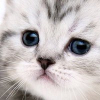 るいちーつなまよ (@luirui0513) 's Twitter Profile