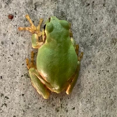 志摩まで歩いて帰ります。さんのプロフィール画像