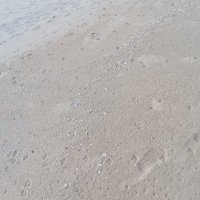 toi tai ❤️ Memecoin (@toitai2) 's Twitter Profile