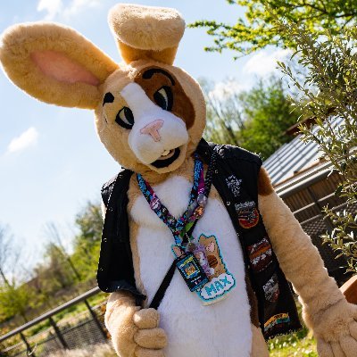 BunnyOnBass🇨🇵❤️💜💙🏳️‍🌈さんのプロフィール画像