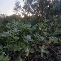 diem thanh ❤️ Memecoin (@diemtha36671489) 's Twitter Profile