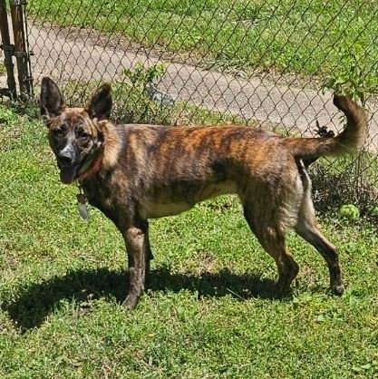 big__sexy's profile picture. Big and sexy