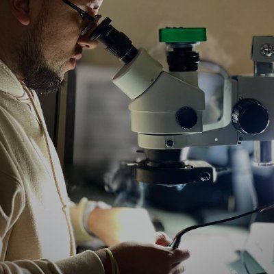 reparatumacsat's profile picture. 