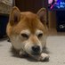 MAST (@bluepandamm) Twitter profile photo MAST (@bluepandamm) Twitter profile photo