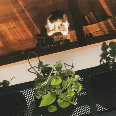 silkcuttofu's profile picture. not active on twitter. edits @gencontrolz, practices non-linearity, normalises slowness/convolution. please refer to me by they/dia/TĀ